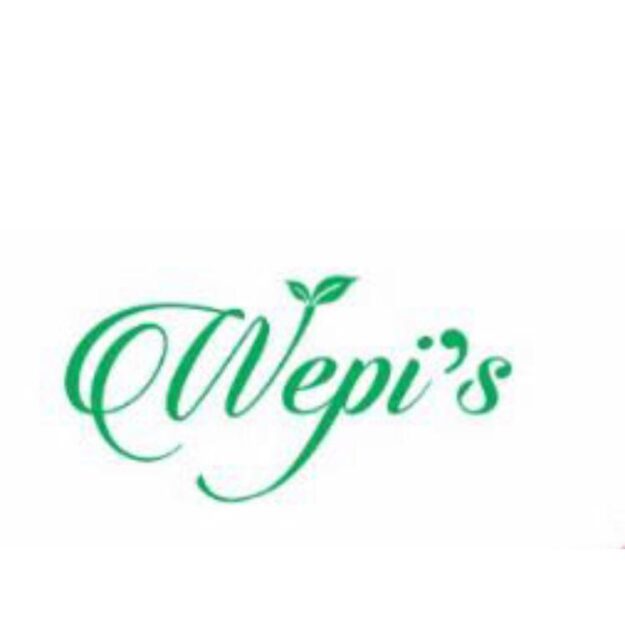 WEPI Health Care Pvt Ltd